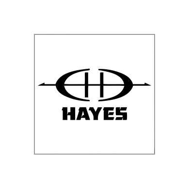 Wally Hayes