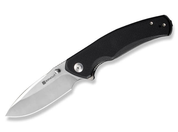 Taschenmesser, Schwarz, Daumenpin, Linerlock, D2, G10